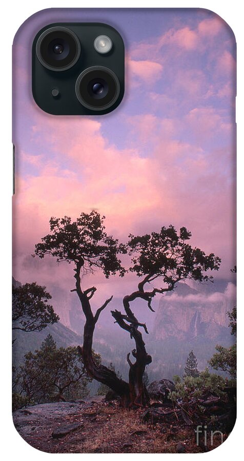 Scenic iPhone Case featuring the photograph Yosemite National Park by George Ranalli