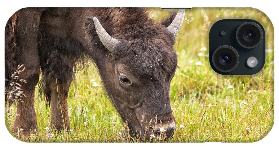 Nature iPhone Case featuring the photograph Young Bison by Belinda Greb