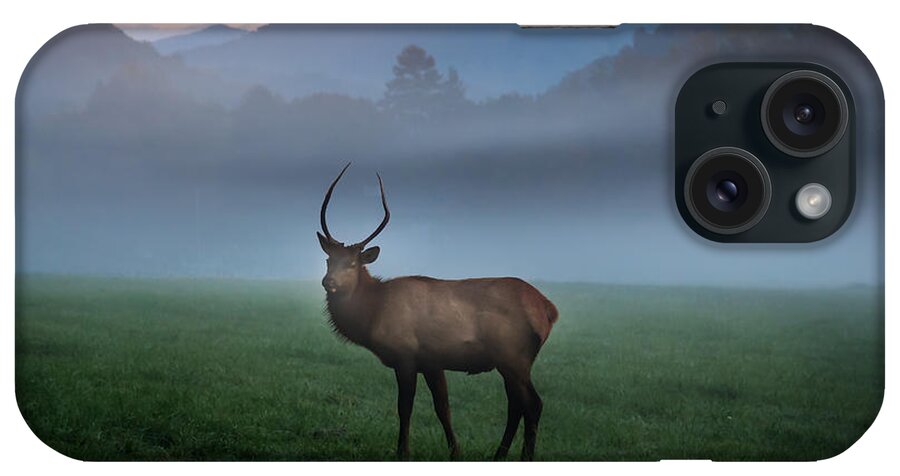 Bull Elk iPhone Case featuring the photograph Young bull Elk in the Pasture by Deborah Scannell
