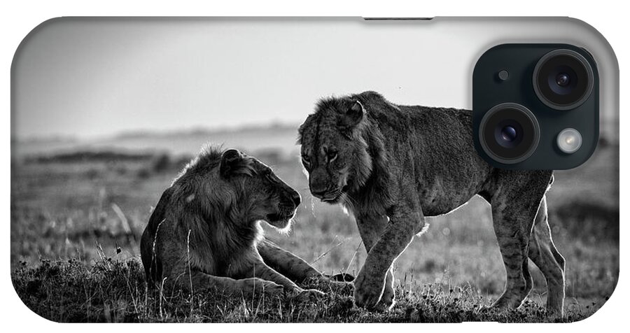 Kenya iPhone Case featuring the photograph Young Male African Lions Greeting by Mike Hill