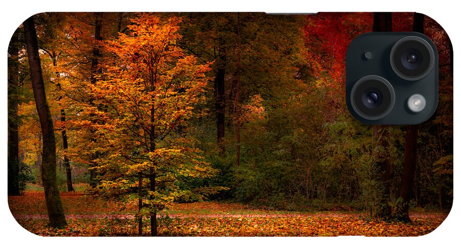 Autumn iPhone Case featuring the photograph Youth by Hannes Cmarits