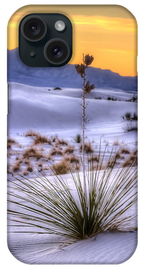 Colorado iPhone Case featuring the photograph Yucca on White Sand by Kristal Kraft