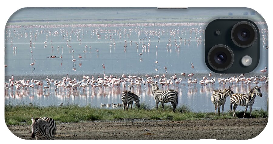 Zebra iPhone Case featuring the photograph Zebra and Flamingo by Tony Murtagh