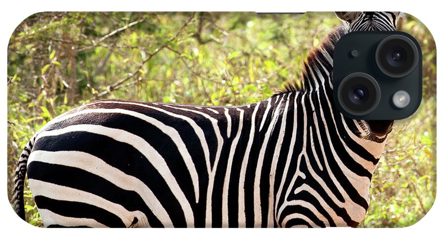 Scenics iPhone Case featuring the photograph Zebra At Lake Mburo National Park by 1001slide