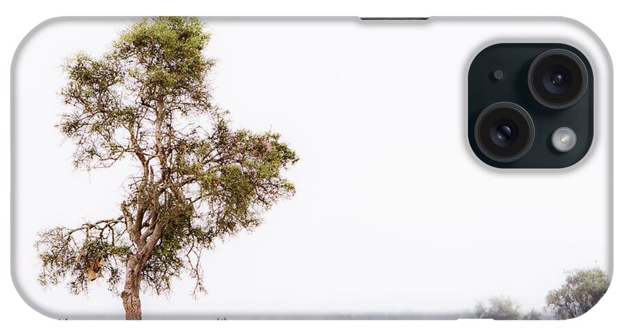 Africa iPhone Case featuring the photograph Zebra In The Mist by Mike Gaudaur