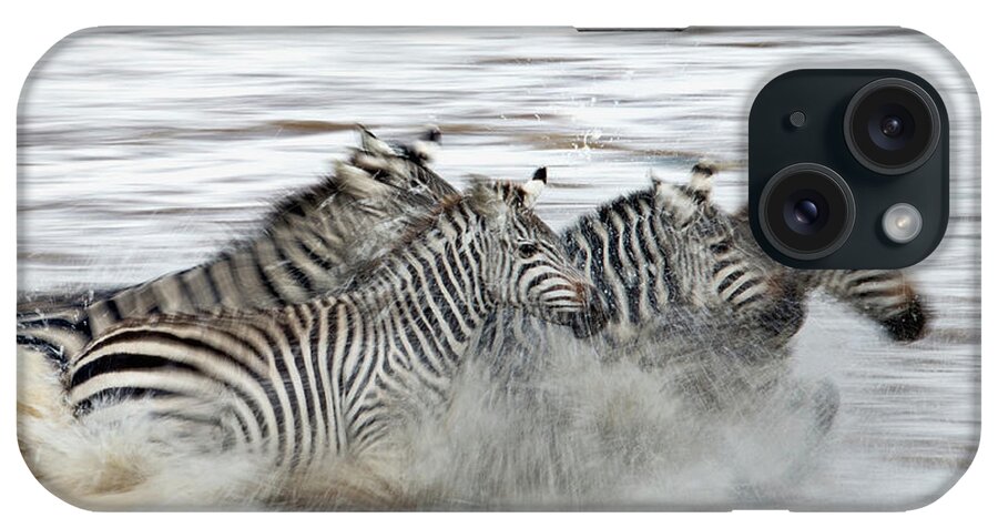 Plains Zebra iPhone Case featuring the photograph Zebras Crossing The Mara River by Aditya Singh