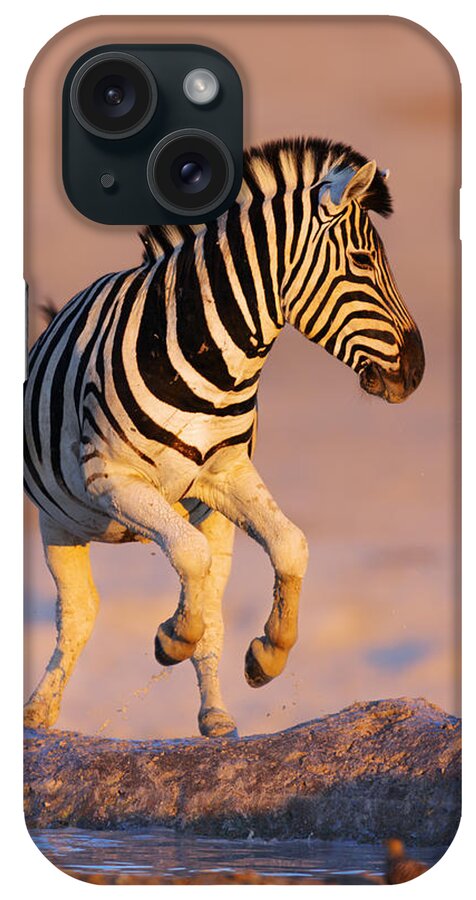 #faatoppicks iPhone Case featuring the photograph Zebras jump from waterhole by Johan Swanepoel