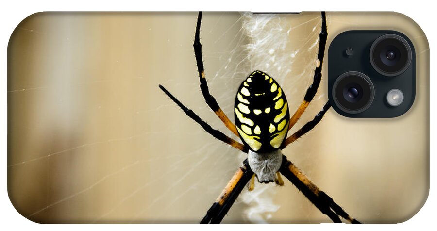 Argiope Aurantia iPhone Case featuring the photograph Zig Zag is More Fun by Penny Lisowski