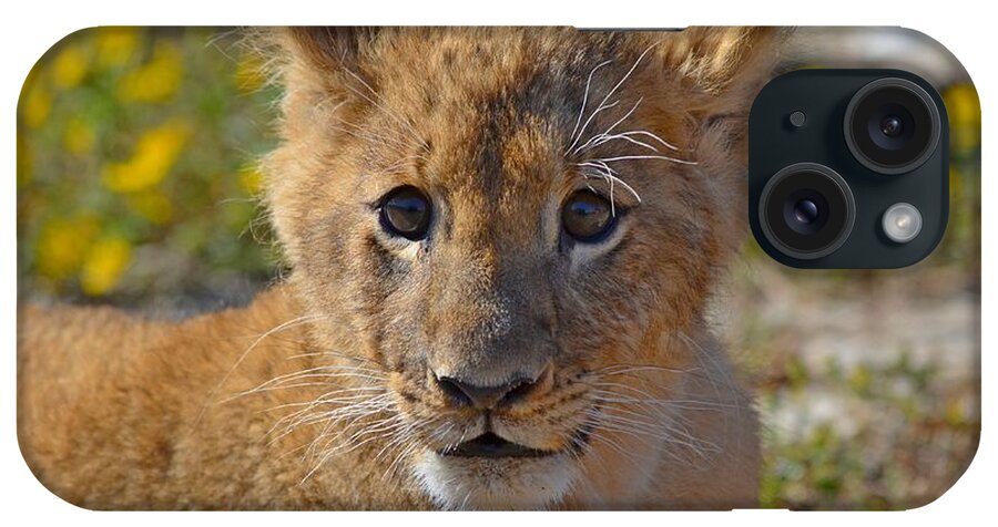 Zootography iPhone Case featuring the photograph Zootography3 Zion the Lion Cub by Jeff at JSJ Photography