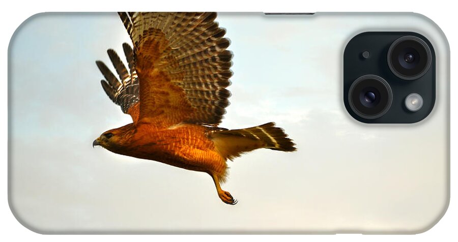 Landscape iPhone Case featuring the photograph Majestic Red Shoulder Hawk by Peggy Franz