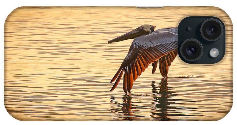 Pelican iPhone Case featuring the photograph Pelican At Sunset by Bill Martin