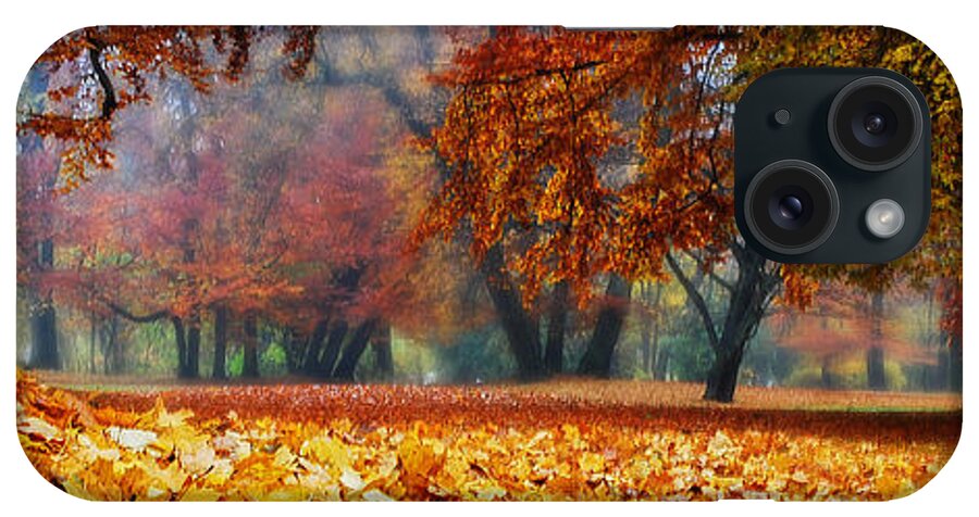 Autumn iPhone Case featuring the photograph Autumn In The Woodland #1 by Hannes Cmarits