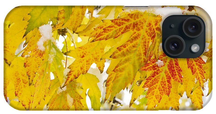 Snow iPhone Case featuring the photograph Autumn Snow #1 by James BO Insogna