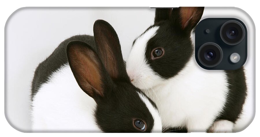 Black-and-white Dutch Rabbit iPhone Case featuring the photograph Baby Black-and-white Dutch Rabbits #1 by Jane Burton