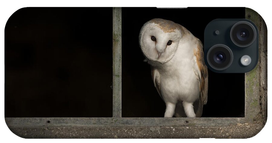 Barn Owl iPhone Case featuring the photograph Barn Owl in Window #1 by Andy Astbury