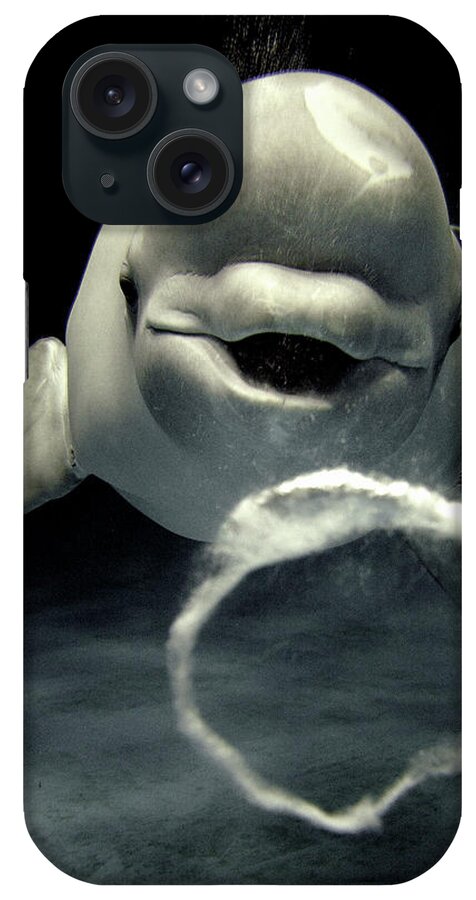 Mp iPhone Case featuring the photograph Beluga Delphinapterus Leucas Whale #1 by Hiroya Minakuchi