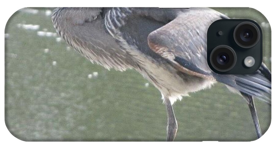 Bird_olympics iPhone Case featuring the photograph #birds #birdnerd #birdlovers #1 by Tammy List