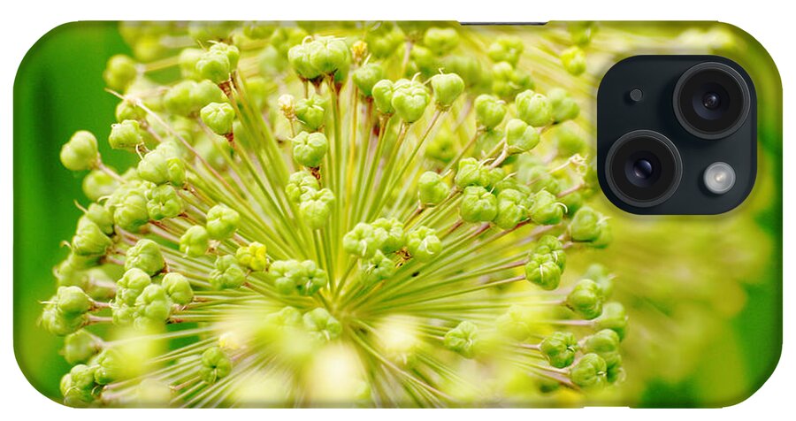 Buds iPhone Case featuring the photograph Budding Foliage #1 by Shehan Wicks