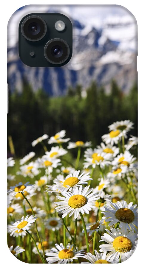 Daisies iPhone Case featuring the photograph Daisies at Mount Robson provincial park by Elena Elisseeva