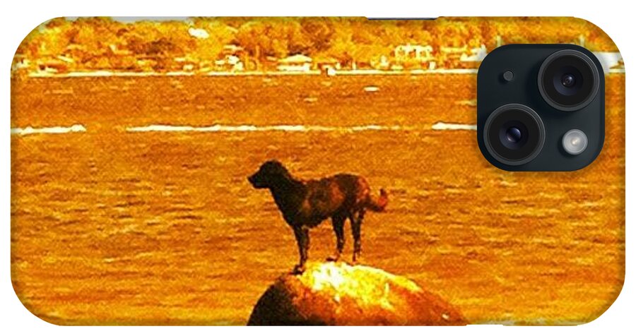 Igersfollow iPhone Case featuring the photograph #dog #lagoon #lagoadaconceicao #1 by Avatar Pics