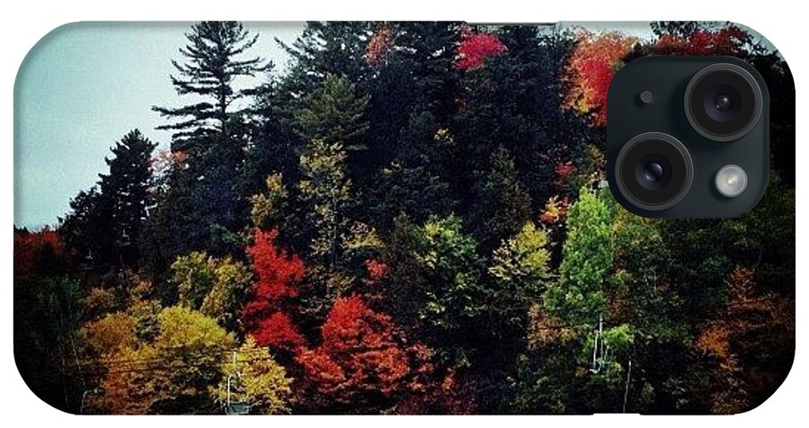Teamrebel iPhone Case featuring the photograph Fall Colors #1 by Natasha Marco