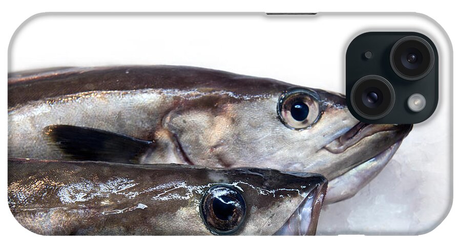 Animal iPhone Case featuring the photograph Fish on ice #1 by Jane Rix