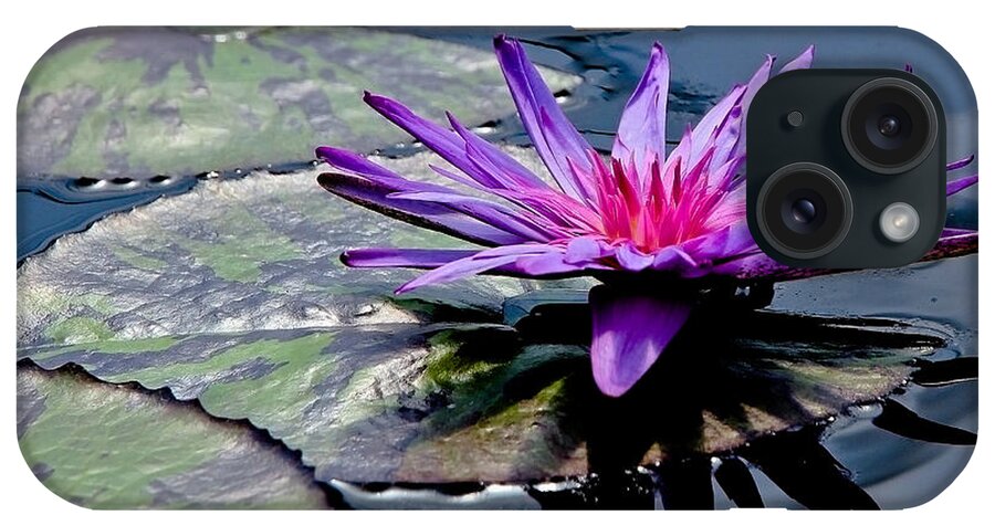 Lily Pad iPhone Case featuring the photograph Lily Pad With Flower by Athena Mckinzie