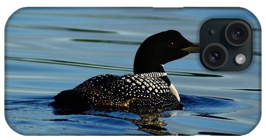 Loon iPhone Case featuring the photograph Loon 2 #2 by Steven Clipperton