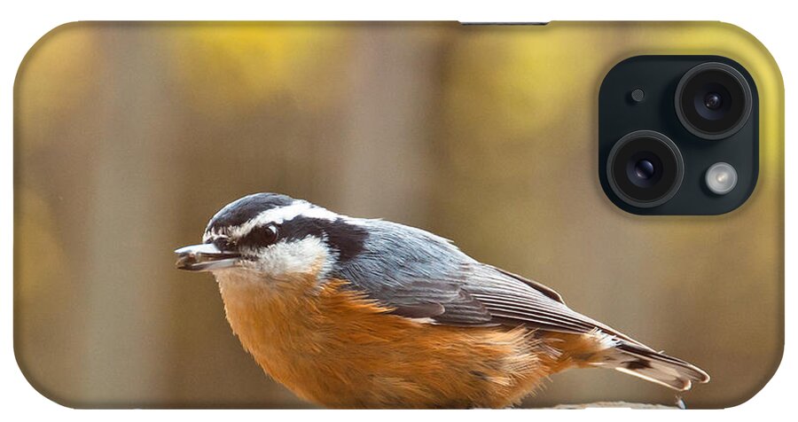 Red-breasted Nuthatch iPhone Case featuring the photograph Nuthatch #1 by Cheryl Baxter