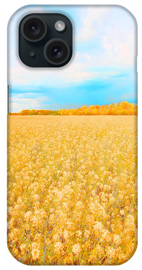 Rural Photo iPhone Case featuring the photograph On a Clear Day by Bonnie Bruno