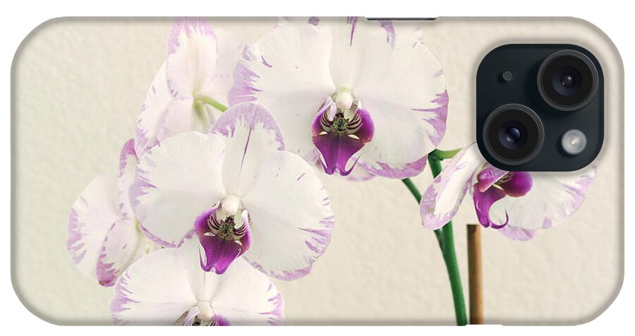 Flower iPhone Case featuring the photograph Orchid #1 by Masha Batkova