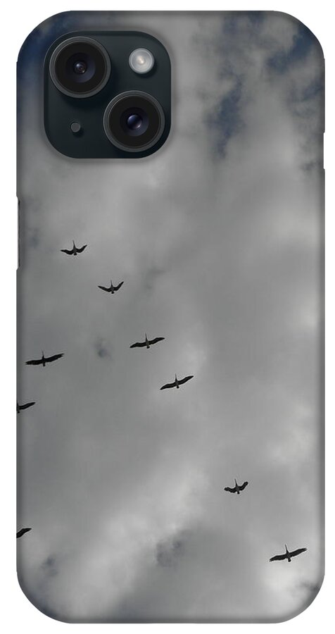 Pelicans iPhone Case featuring the photograph Pelican fly over #1 by Kim Galluzzo