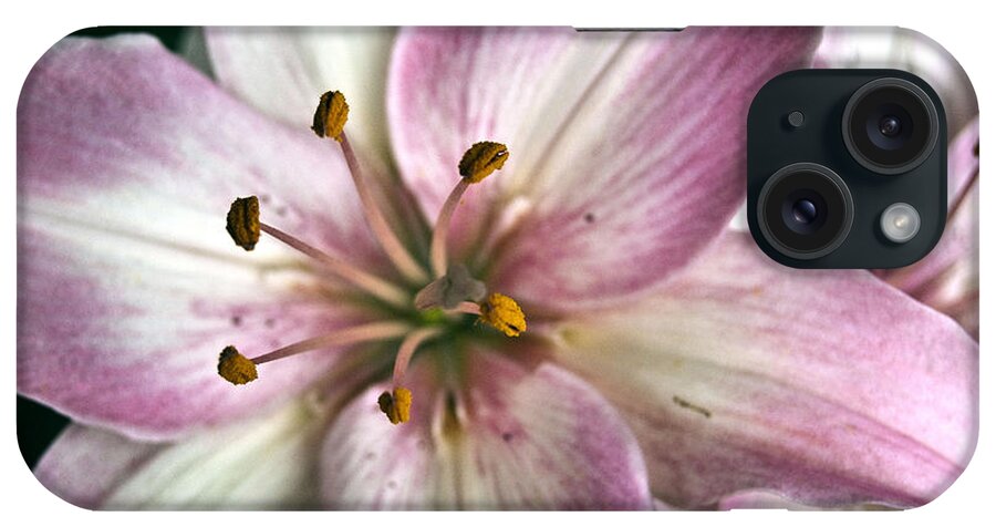 Agriculture iPhone Case featuring the digital art Pink Asiatic Lily #1 by Danielle Summa