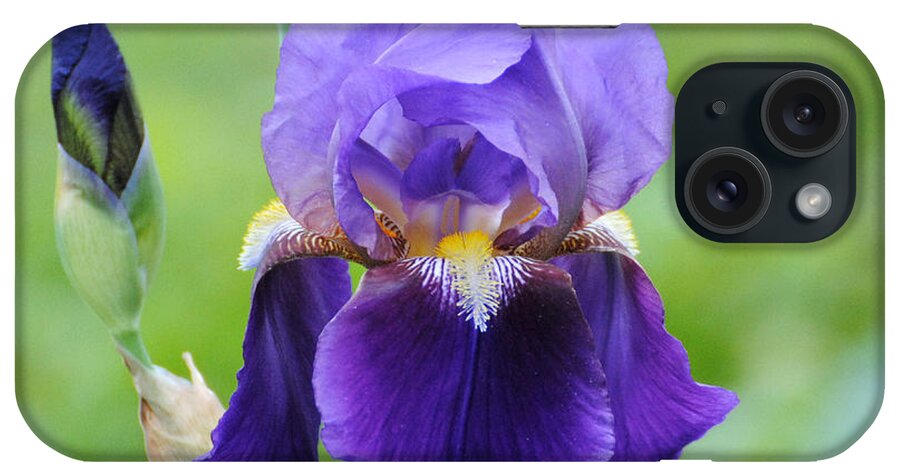 Beautiful Iris iPhone Case featuring the photograph Purple and Yellow Iris by Jai Johnson
