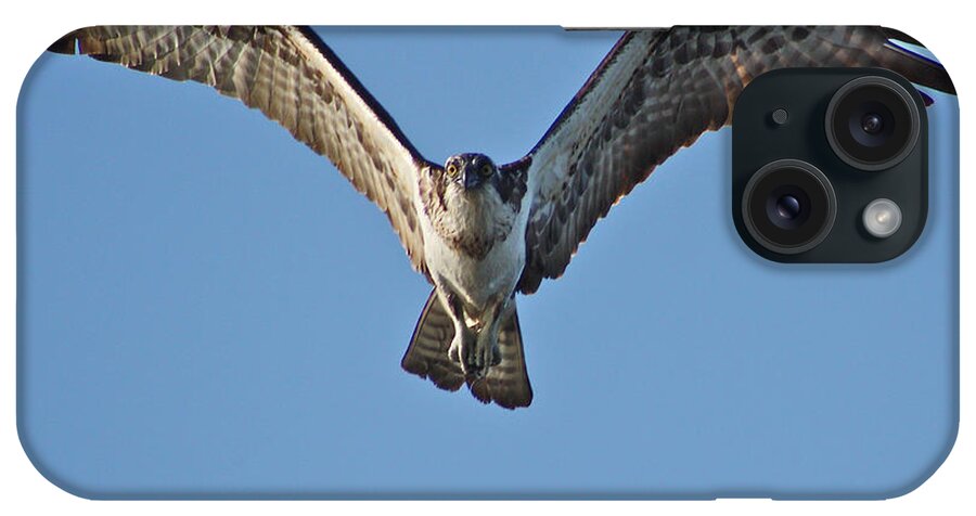 Osprey iPhone Case featuring the photograph Remember to Soar by Cathie Douglas