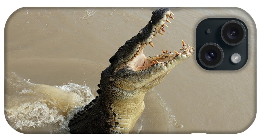 Salt Water Crocodile iPhone Case featuring the photograph Salt Water Crocodile 2 #1 by Bob Christopher