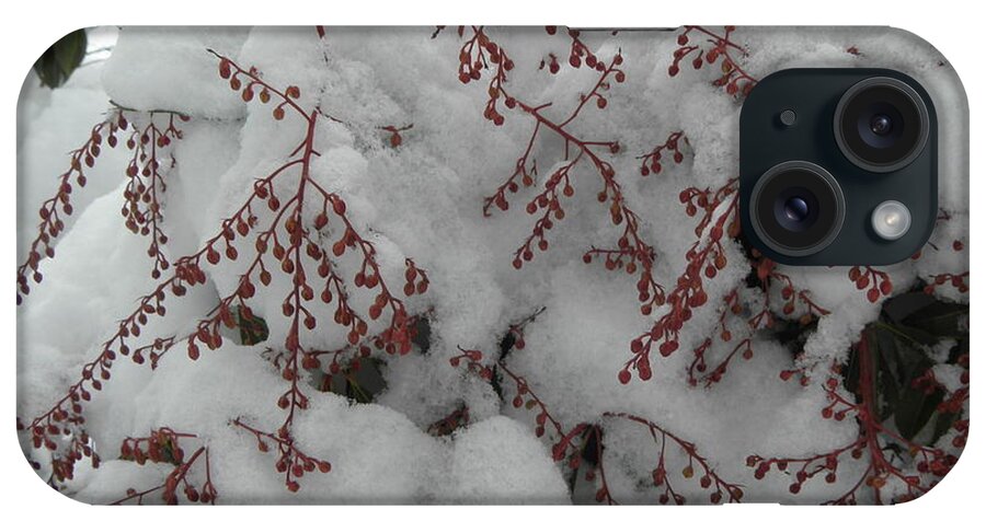Snow iPhone Case featuring the photograph Snow Covered #1 by Kim Galluzzo