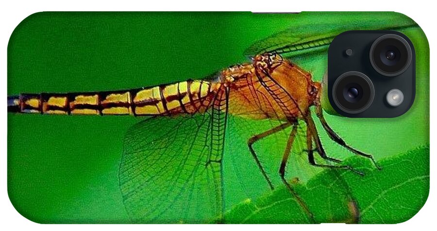 Cute iPhone Case featuring the photograph The Catch Of Today, A Dragonfly In My #1 by Ahmed Oujan
