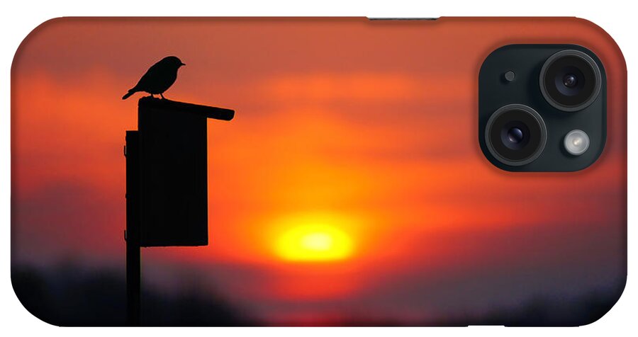 Bird iPhone Case featuring the photograph The Early Bird #1 by Bill Pevlor