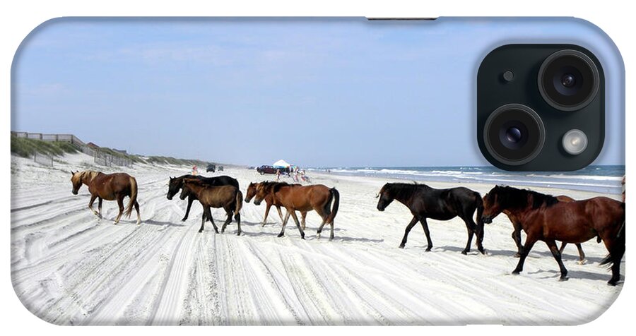 Spanish iPhone Case featuring the photograph Wild Spanish Mustangs of the Outer Banks NC #1 by Kim Galluzzo