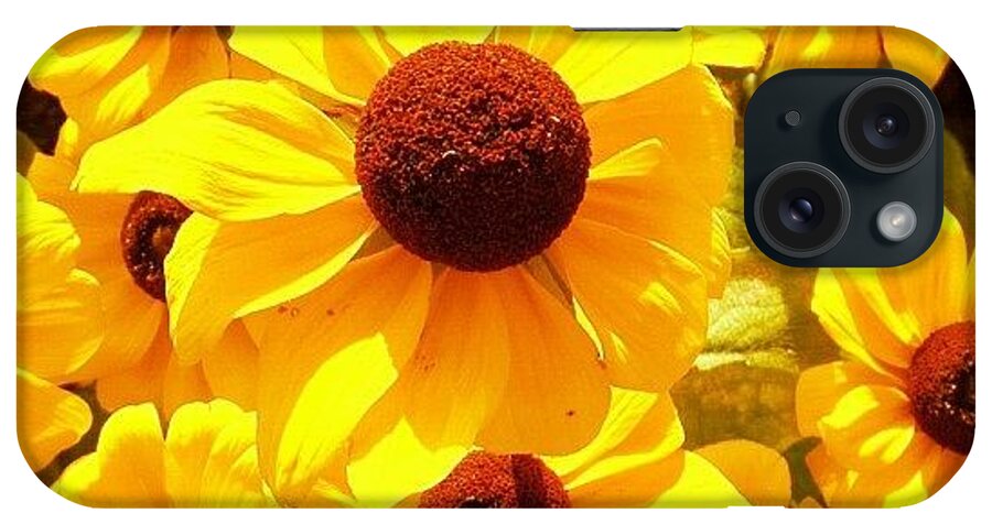 Flower iPhone Case featuring the photograph Yellow Flowers #1 by Luisa Azzolini