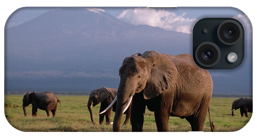 Mp iPhone Case featuring the photograph African Elephant Loxodonta Africana #11 by Gerry Ellis
