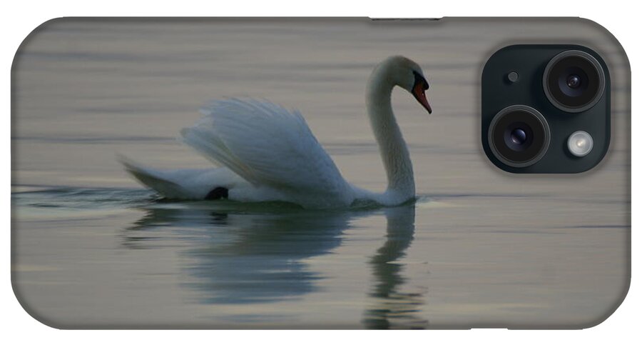 Nature iPhone Case featuring the photograph Swan #14 by Odon Czintos