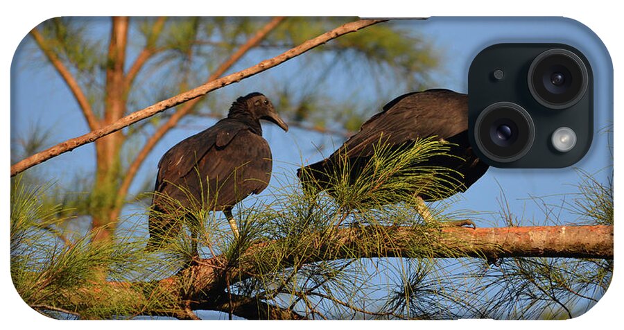 Turkey Vultures iPhone Case featuring the photograph 15- Turkey Vultures by Joseph Keane