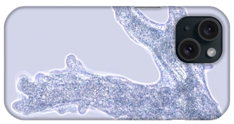 Light Microscopy iPhone Case featuring the photograph Amoeba Proteus #2 by M. I. Walker