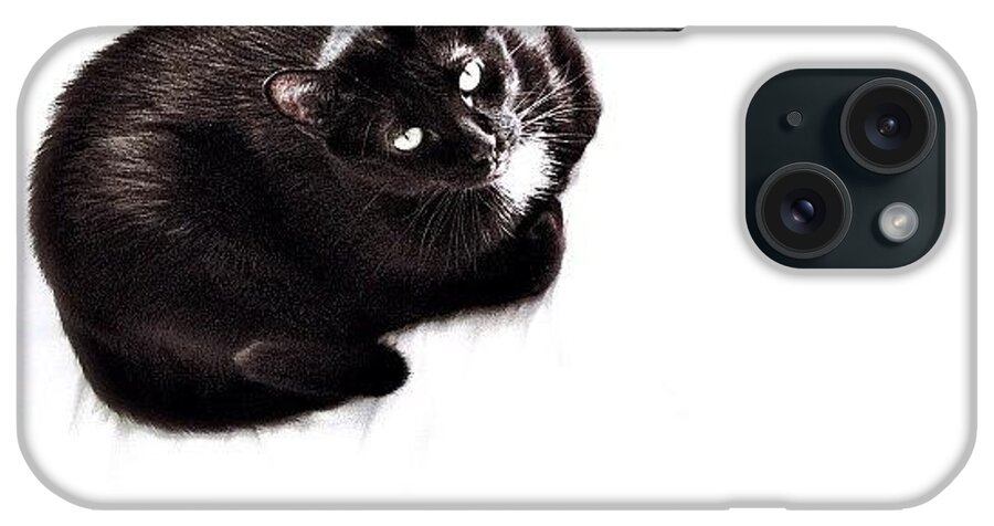 Petstagram iPhone Case featuring the photograph Booboo #2 by Natasha Marco