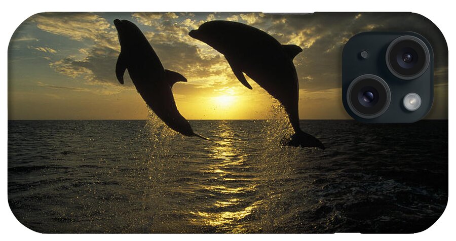Mp iPhone Case featuring the photograph Bottlenose Dolphin Tursiops Truncatus #2 by Konrad Wothe