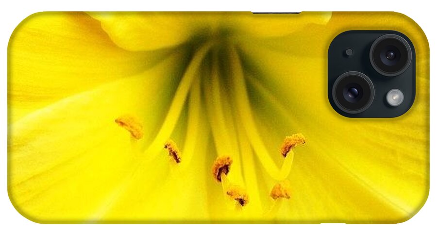 Daylily iPhone Case featuring the photograph Daylily flower #2 by Irina Moskalev