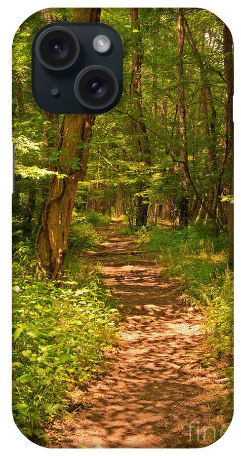 Trail iPhone Case featuring the photograph Forest Trail #2 by Bob and Nancy Kendrick