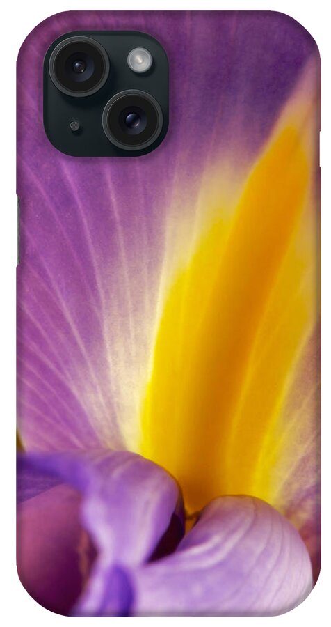 Flowers iPhone Case featuring the photograph Photograph of a Dutch Iris #3 by Perla Copernik